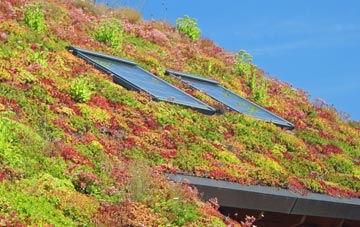 Hackleton living roof systems