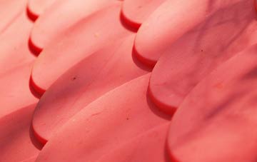 Hackleton plastic roof costs