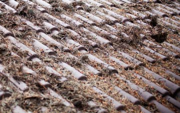 Hackleton roof cleaning companies