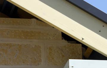 soffit repair Hackleton