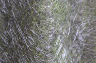 Hackleton fibreglass roof work